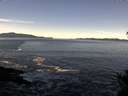 ./images/koeye/fitz-hugh/20141110/fitz-hugh20141110_104001.jpg