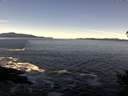 ./images/koeye/fitz-hugh/20141110/fitz-hugh20141110_105002.jpg