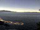 ./images/koeye/fitz-hugh/20141110/fitz-hugh20141110_112001.jpg