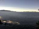 ./images/koeye/fitz-hugh/20141110/fitz-hugh20141110_113502.jpg