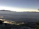 ./images/koeye/fitz-hugh/20141110/fitz-hugh20141110_115503.jpg