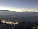 ./images/koeye/fitz-hugh/20141110/fitz-hugh20141110_120502.jpg