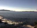 ./images/koeye/fitz-hugh/20141110/fitz-hugh20141110_121003.jpg