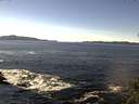 ./images/koeye/fitz-hugh/20141110/fitz-hugh20141110_123502.jpg