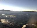 ./images/koeye/fitz-hugh/20141110/fitz-hugh20141110_125502.jpg