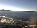 ./images/koeye/fitz-hugh/20141110/fitz-hugh20141110_130502.jpg