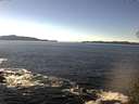 ./images/koeye/fitz-hugh/20141110/fitz-hugh20141110_131001.jpg