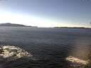 ./images/koeye/fitz-hugh/20141110/fitz-hugh20141110_132002.jpg