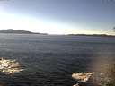 ./images/koeye/fitz-hugh/20141110/fitz-hugh20141110_132502.jpg