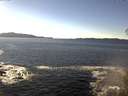 ./images/koeye/fitz-hugh/20141110/fitz-hugh20141110_133502.jpg