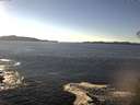 ./images/koeye/fitz-hugh/20141110/fitz-hugh20141110_135002.jpg
