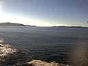 ./images/koeye/fitz-hugh/20141110/fitz-hugh20141110_135502.jpg