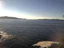 ./images/koeye/fitz-hugh/20141110/fitz-hugh20141110_140002.jpg
