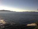 ./images/koeye/fitz-hugh/20141110/fitz-hugh20141110_140502.jpg