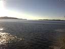 ./images/koeye/fitz-hugh/20141110/fitz-hugh20141110_142002.jpg