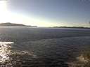 ./images/koeye/fitz-hugh/20141110/fitz-hugh20141110_142502.jpg