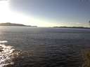 ./images/koeye/fitz-hugh/20141110/fitz-hugh20141110_143502.jpg