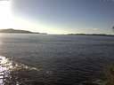 ./images/koeye/fitz-hugh/20141110/fitz-hugh20141110_144003.jpg