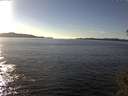 ./images/koeye/fitz-hugh/20141110/fitz-hugh20141110_144503.jpg