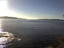 ./images/koeye/fitz-hugh/20141110/fitz-hugh20141110_145003.jpg