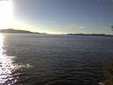 ./images/koeye/fitz-hugh/20141110/fitz-hugh20141110_145503.jpg
