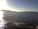 ./images/koeye/fitz-hugh/20141110/fitz-hugh20141110_150502.jpg