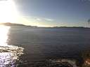 ./images/koeye/fitz-hugh/20141110/fitz-hugh20141110_151001.jpg