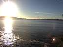 ./images/koeye/fitz-hugh/20141110/fitz-hugh20141110_154002.jpg