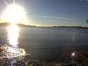 ./images/koeye/fitz-hugh/20141110/fitz-hugh20141110_154501.jpg