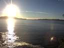 ./images/koeye/fitz-hugh/20141110/fitz-hugh20141110_155002.jpg