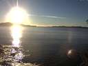 ./images/koeye/fitz-hugh/20141110/fitz-hugh20141110_155502.jpg