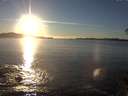 ./images/koeye/fitz-hugh/20141110/fitz-hugh20141110_160502.jpg