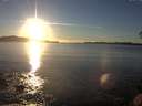 ./images/koeye/fitz-hugh/20141110/fitz-hugh20141110_161002.jpg