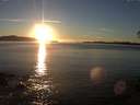 ./images/koeye/fitz-hugh/20141110/fitz-hugh20141110_162503.jpg