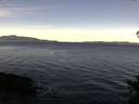 ./images/koeye/fitz-hugh/20141111/fitz-hugh20141111_101002.jpg