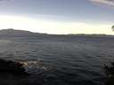 ./images/koeye/fitz-hugh/20141111/fitz-hugh20141111_111501.jpg