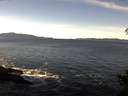 ./images/koeye/fitz-hugh/20141111/fitz-hugh20141111_113501.jpg