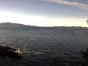 ./images/koeye/fitz-hugh/20141111/fitz-hugh20141111_114001.jpg