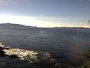 ./images/koeye/fitz-hugh/20141111/fitz-hugh20141111_122503.jpg