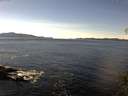 ./images/koeye/fitz-hugh/20141111/fitz-hugh20141111_123503.jpg