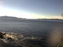 ./images/koeye/fitz-hugh/20141111/fitz-hugh20141111_132501.jpg
