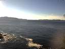 ./images/koeye/fitz-hugh/20141111/fitz-hugh20141111_135501.jpg