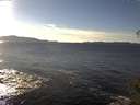 ./images/koeye/fitz-hugh/20141111/fitz-hugh20141111_144003.jpg
