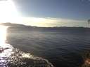 ./images/koeye/fitz-hugh/20141111/fitz-hugh20141111_151002.jpg