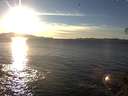 ./images/koeye/fitz-hugh/20141111/fitz-hugh20141111_154502.jpg