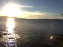./images/koeye/fitz-hugh/20141111/fitz-hugh20141111_155002.jpg