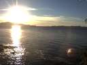 ./images/koeye/fitz-hugh/20141111/fitz-hugh20141111_155501.jpg
