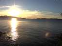 ./images/koeye/fitz-hugh/20141111/fitz-hugh20141111_160501.jpg
