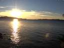 ./images/koeye/fitz-hugh/20141111/fitz-hugh20141111_161002.jpg