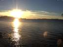 ./images/koeye/fitz-hugh/20141111/fitz-hugh20141111_161502.jpg